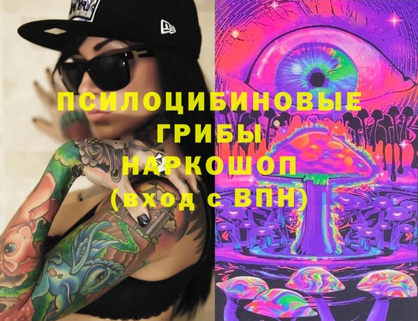PSILOCYBIN Балабаново