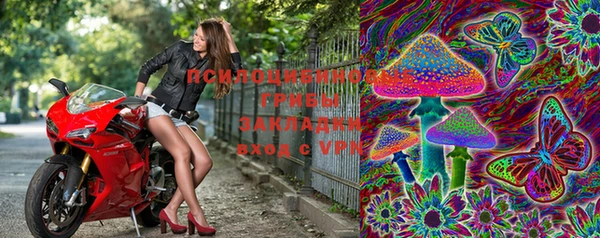 PSILOCYBIN Балабаново