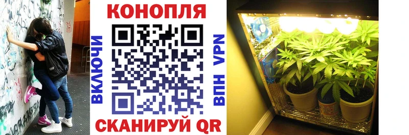 где можно купить наркотик  Богданович  Каннабис THC 21% 
